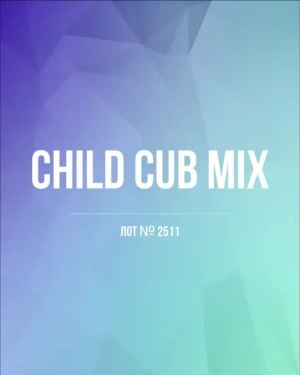 Купить CUBUS детский микс лето (Children CUBUS mix)#15 кг, ЛОТ №2511 оптом в Благовещенске и Амурской области