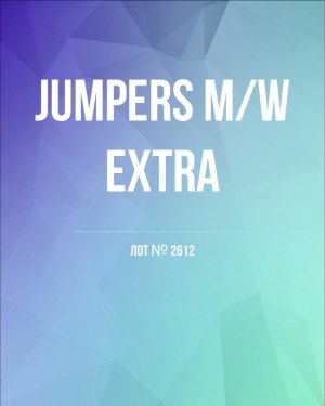 Купить Джемпер муж+жен экстра#15 кг , Лот№2612 оптом в Благовещенске и Амурской области