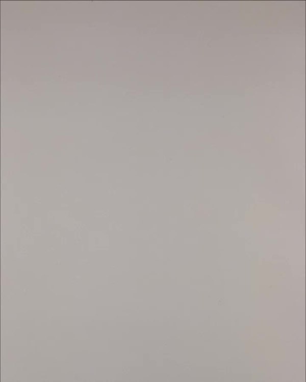 Фотография  994 - Нижнее белье Bon Prix дети#50 шт, ЛОТ №3242 оптом в Благовещенске и Амурской области