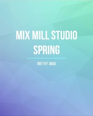 Купить MILL STUDIO Spring mix#15 кг, ЛОТ №3650 оптом в Благовещенске и Амурской области