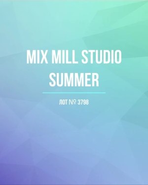 Купить MILL STUDIO Summer mix#15 кг, ЛОТ №3798 оптом в Благовещенске и Амурской области