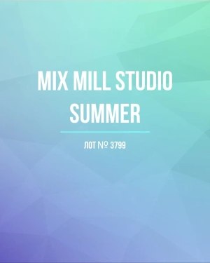 Купить MILL STUDIO Summer mix#15 кг, ЛОТ №3799 оптом в Благовещенске и Амурской области