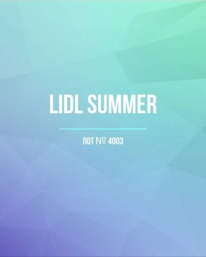 Купить LIDL Summer#20 кг, ЛОТ №4003 оптом в Благовещенске и Амурской области