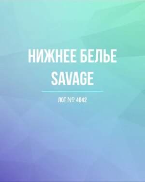 Купить Нижнее белье Savage#50 шт, ЛОТ №4042 оптом в Благовещенске и Амурской области