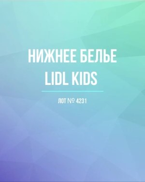 Купить Нижнее белье LIDL Kids#5 кг, ЛОТ №4231 оптом в Благовещенске и Амурской области
