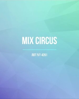 Купить CIRCUS mix #13 кг, ЛОТ №4261 оптом в Благовещенске и Амурской области