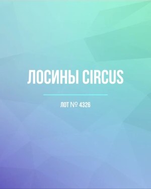 Купить Лосины CIRCUS #6,2 кг, ЛОТ №4326 оптом в Благовещенске и Амурской области