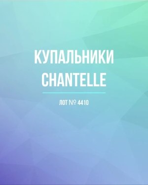 Купить Купальники Chantelle#30 шт, ЛОТ №4410 оптом в Благовещенске и Амурской области