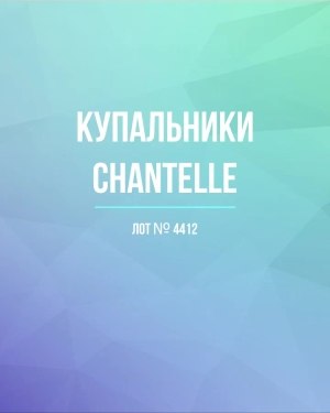Купить Купальники Chantelle#23 шт, ЛОТ №4412 оптом в Благовещенске и Амурской области
