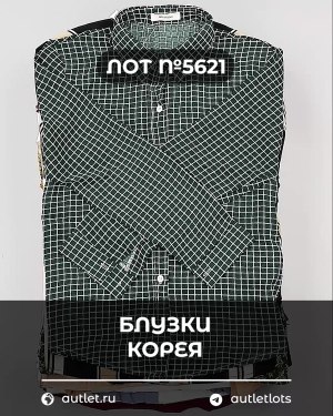Купить Блузки Корея#20 шт, ЛОТ №5621 оптом в Благовещенске и Амурской области
