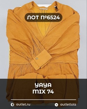 Купить YA YA 062024#39 шт, ЛОТ №6524 оптом в Благовещенске и Амурской области