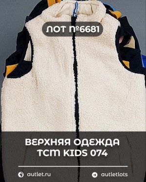 Купить Верхняя одежда TCM kids 074#7 кг, ЛОТ №6681 оптом в Благовещенске и Амурской области