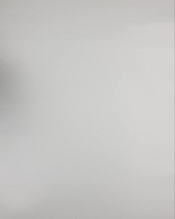 Фотография  131 - Верхняя одежда Дания#10,2 кг ЛОТ №6911 оптом в Благовещенске и Амурской области