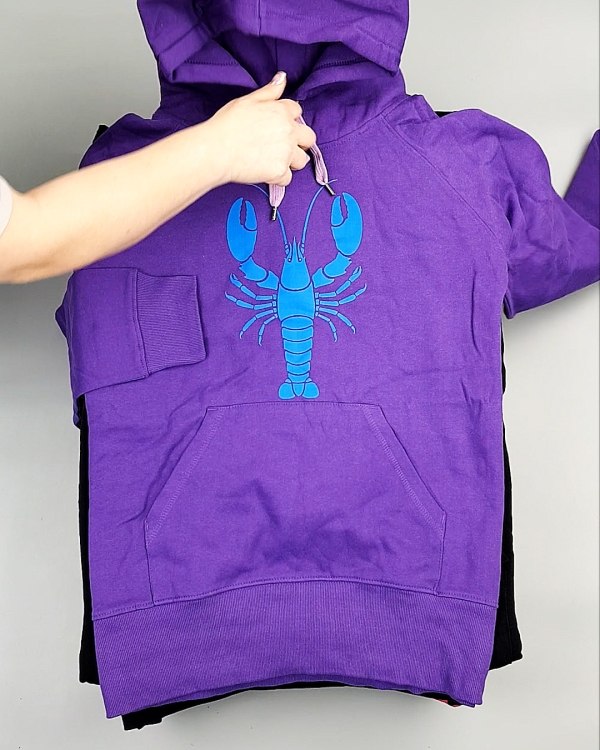 Фотография  303 - Толстовки м/ж (Sweat Tops)#20 кг, ЛОТ №7431 оптом в Благовещенске и Амурской области