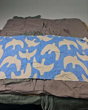 Фотография  886 - 11991 ПДО H&M (H H&M HHR mix) 1224#25 кг, ЛОТ СТ-9431 оптом в Благовещенске и Амурской области